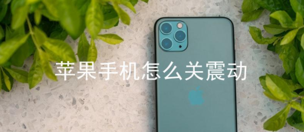 苹果手机怎么关震动 iphone震动关闭方法